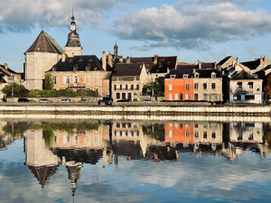 Enlèvement arbre urgence Châtellerault